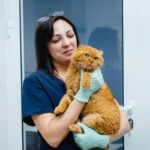 cabinet-veterinar-bucuresti